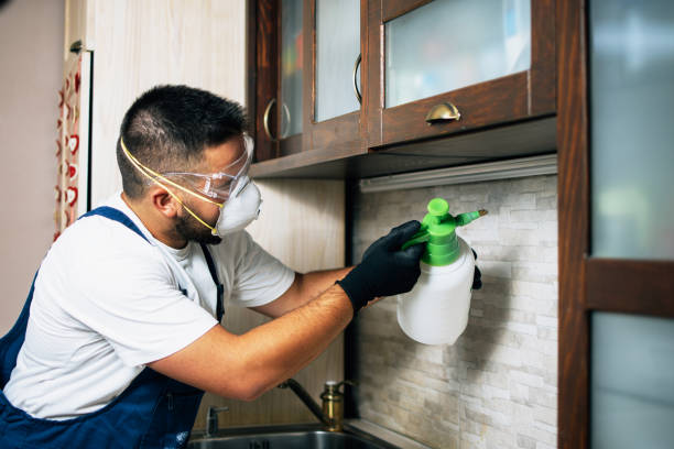 Best Pest Removal Services  in Privateer, SC